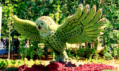 綠雕廠家 綠雕廠家